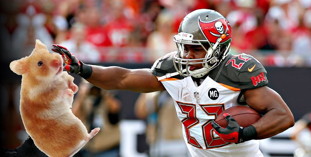 doug-martin-hamster2