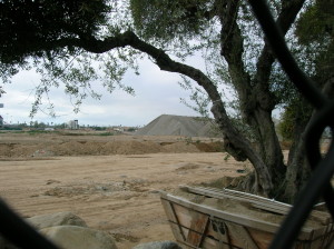 construction from east dirt and trees