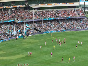 AFL fans directly behind the posts celebrate goals by waving flags. Way too civilized.