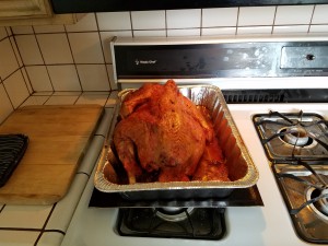 cooked bird