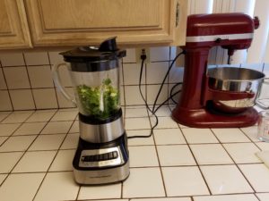 cilantro in blender