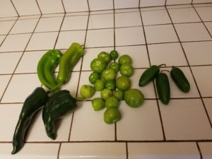 fresh chilies