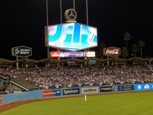 night-fallen-cubs-up-4-0