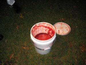 blood_bucket