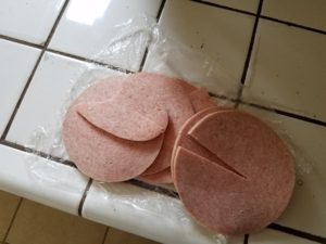 pork roll uncooked